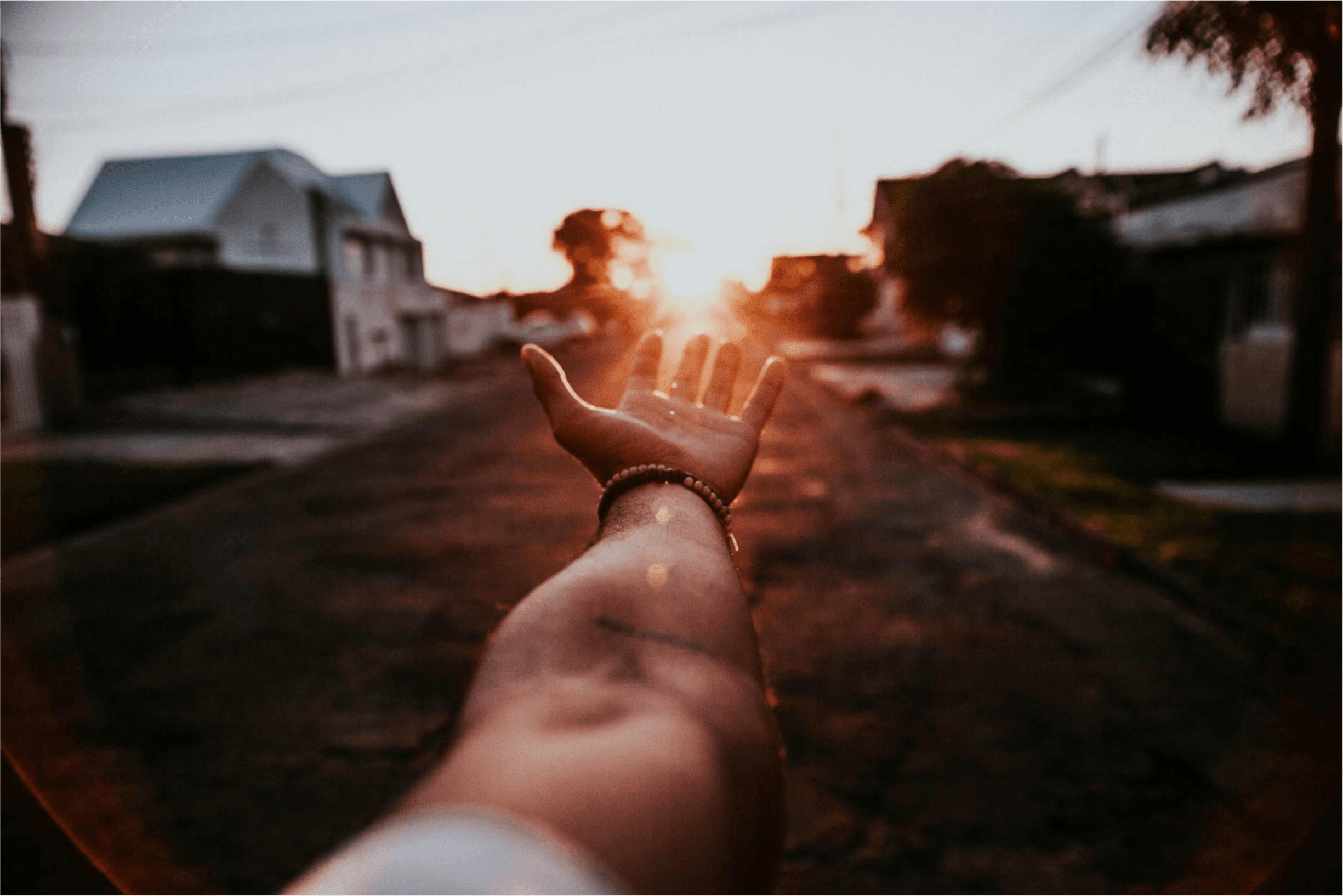 Pexels Photo by Juliano Ferreira.png